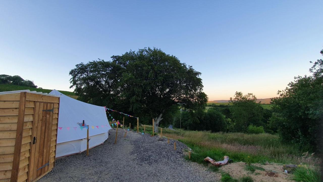 Hotel Calon Y Goedwig Glamping Llandovery Zewnętrze zdjęcie