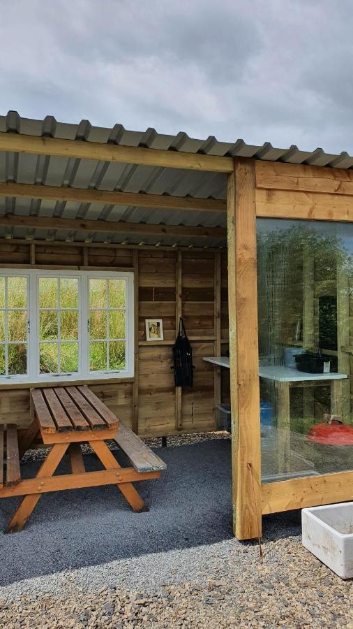 Hotel Calon Y Goedwig Glamping Llandovery Zewnętrze zdjęcie