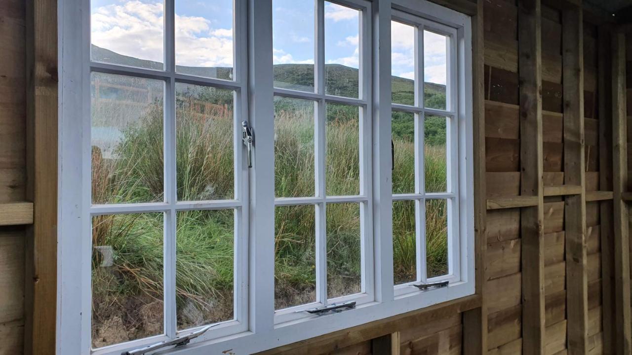 Hotel Calon Y Goedwig Glamping Llandovery Zewnętrze zdjęcie