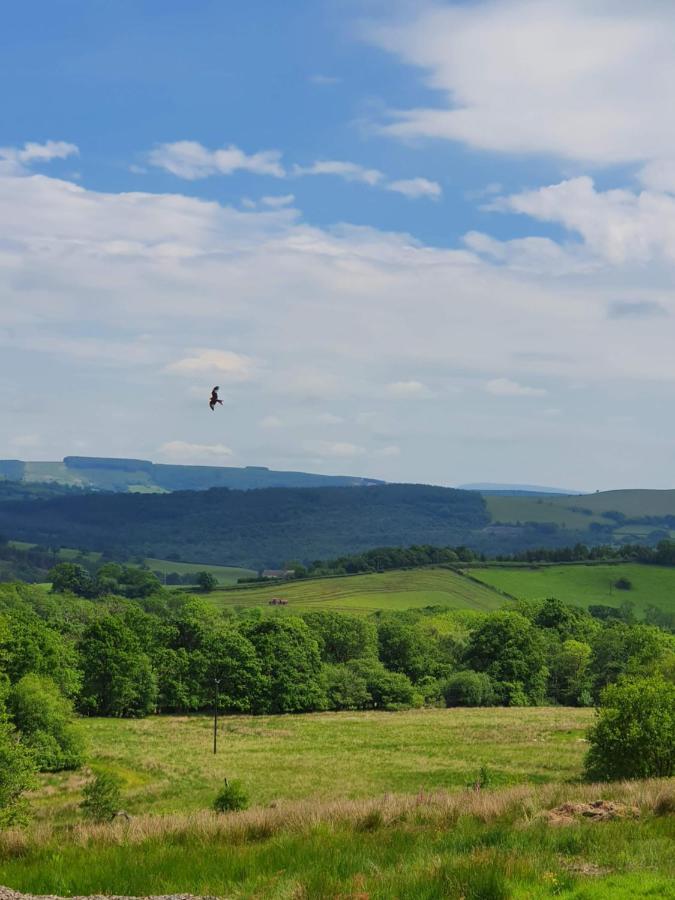 Hotel Calon Y Goedwig Glamping Llandovery Zewnętrze zdjęcie
