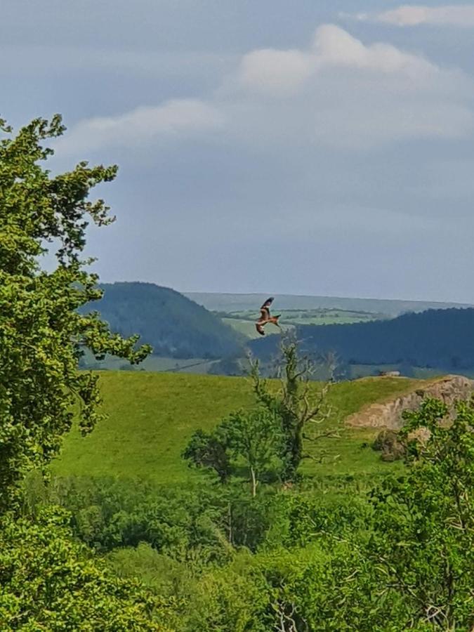 Hotel Calon Y Goedwig Glamping Llandovery Zewnętrze zdjęcie