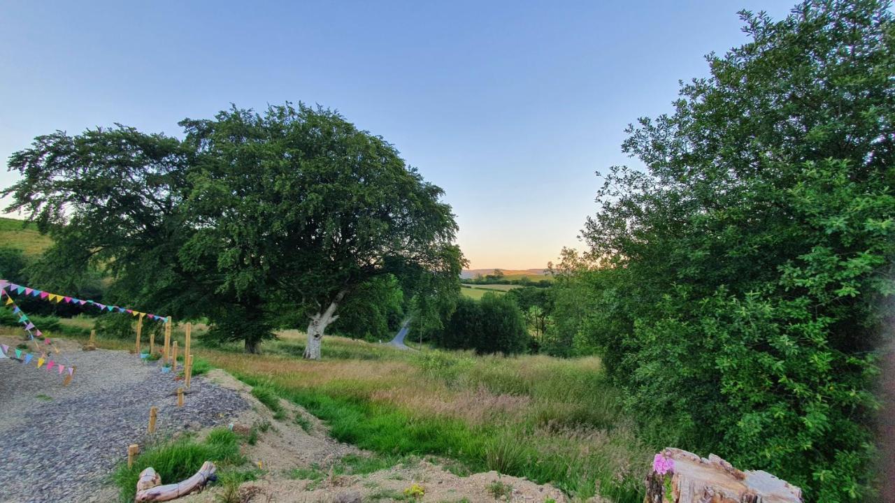 Hotel Calon Y Goedwig Glamping Llandovery Zewnętrze zdjęcie