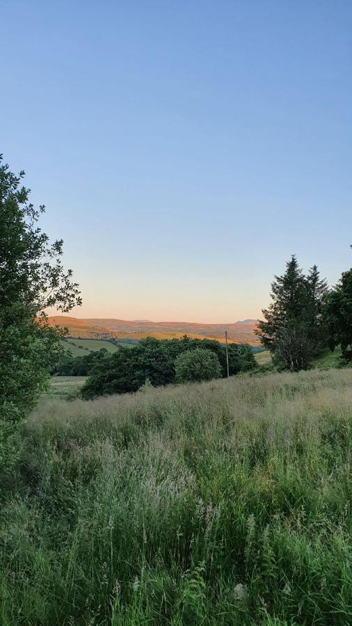 Hotel Calon Y Goedwig Glamping Llandovery Zewnętrze zdjęcie