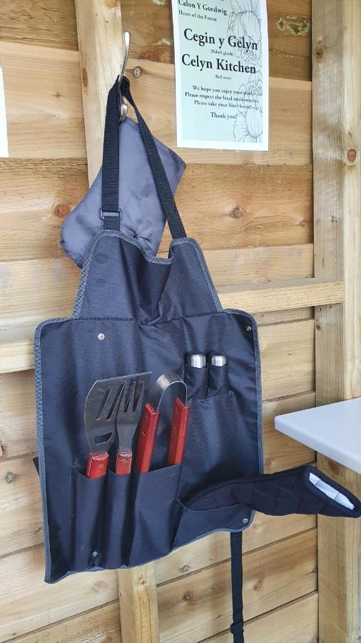 Hotel Calon Y Goedwig Glamping Llandovery Zewnętrze zdjęcie