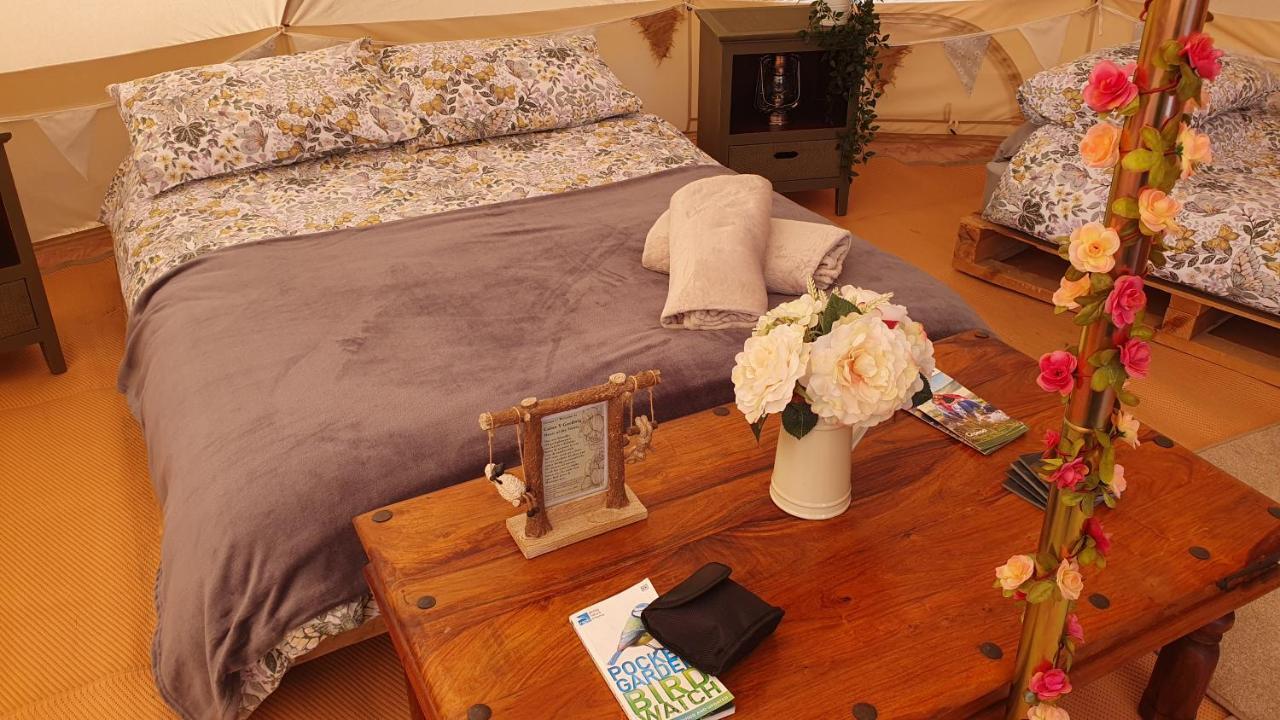 Hotel Calon Y Goedwig Glamping Llandovery Zewnętrze zdjęcie