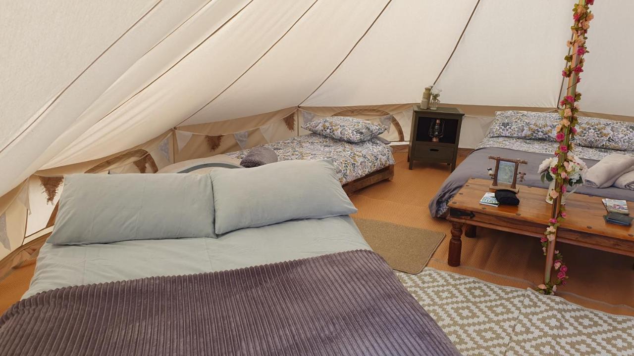 Hotel Calon Y Goedwig Glamping Llandovery Zewnętrze zdjęcie