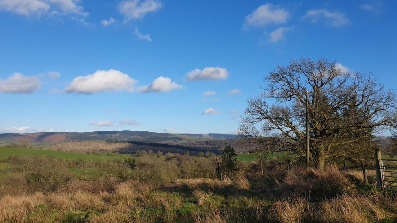 Hotel Calon Y Goedwig Glamping Llandovery Zewnętrze zdjęcie