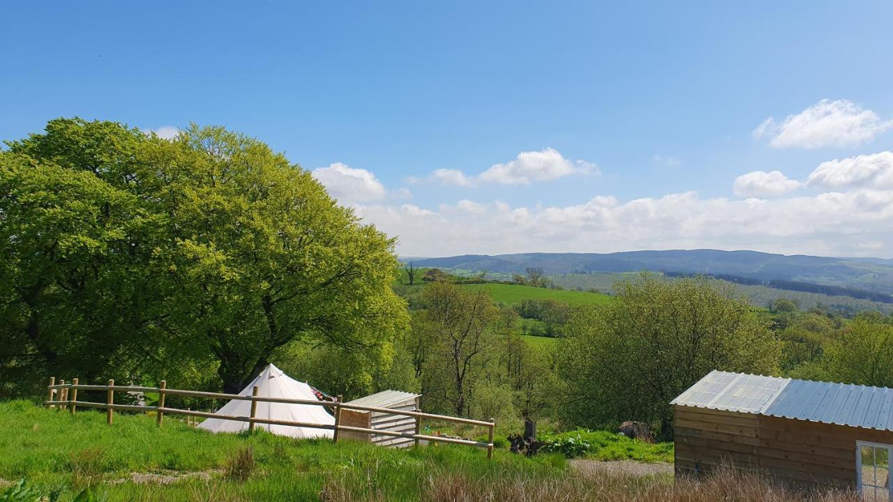 Hotel Calon Y Goedwig Glamping Llandovery Zewnętrze zdjęcie