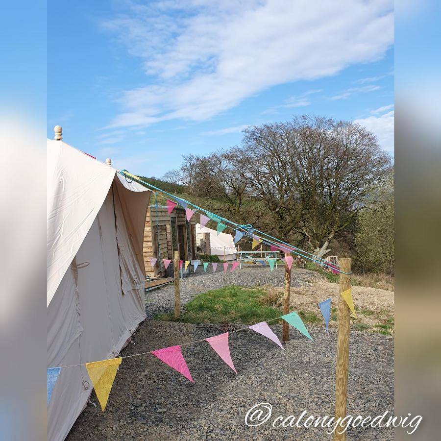 Hotel Calon Y Goedwig Glamping Llandovery Zewnętrze zdjęcie