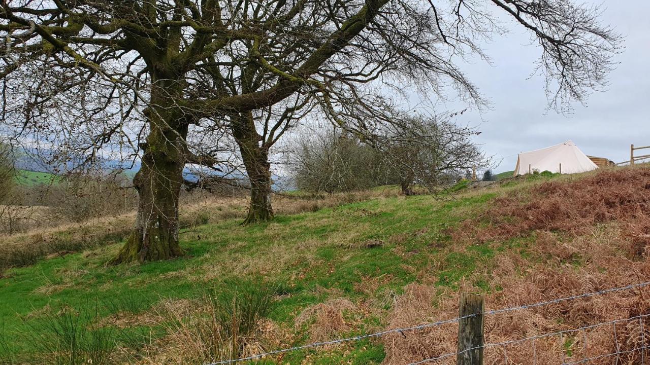 Hotel Calon Y Goedwig Glamping Llandovery Zewnętrze zdjęcie