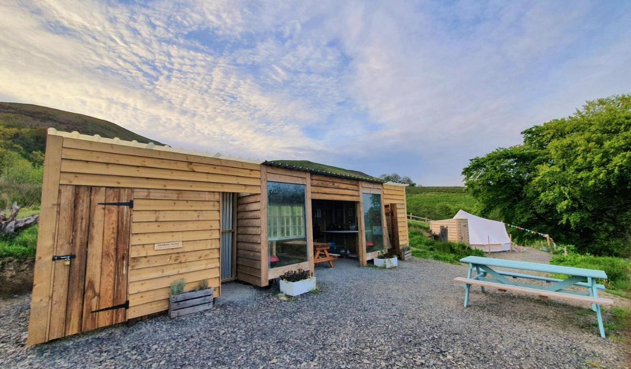 Hotel Calon Y Goedwig Glamping Llandovery Zewnętrze zdjęcie