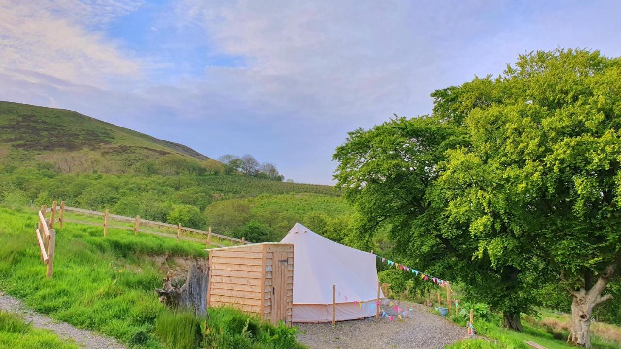 Hotel Calon Y Goedwig Glamping Llandovery Zewnętrze zdjęcie