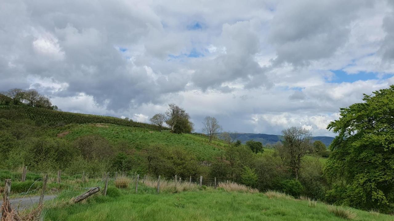 Hotel Calon Y Goedwig Glamping Llandovery Zewnętrze zdjęcie
