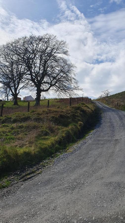Hotel Calon Y Goedwig Glamping Llandovery Zewnętrze zdjęcie