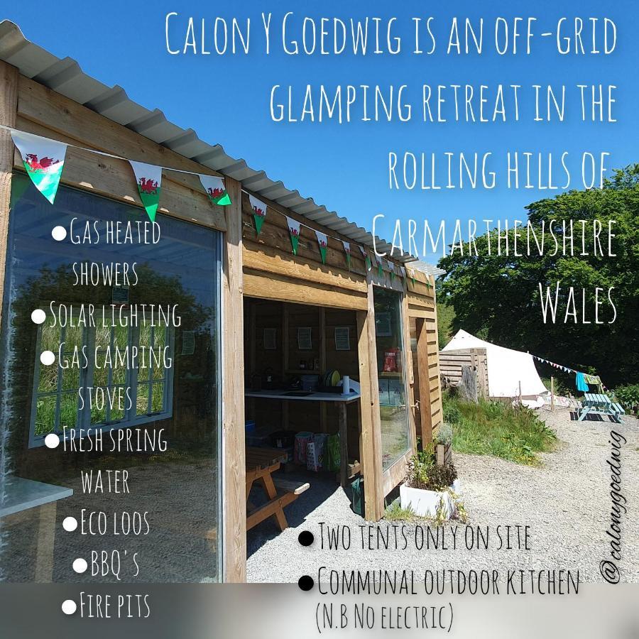 Hotel Calon Y Goedwig Glamping Llandovery Zewnętrze zdjęcie