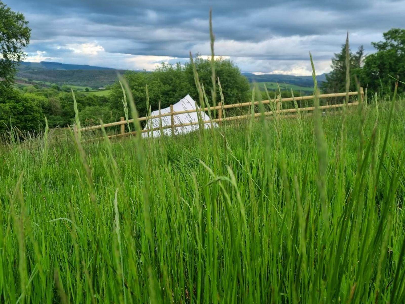 Hotel Calon Y Goedwig Glamping Llandovery Zewnętrze zdjęcie